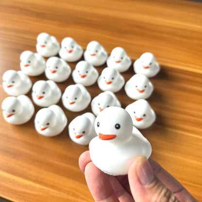 (BULK)YOUVE BEEN DUCKED! RANDOM 60PC