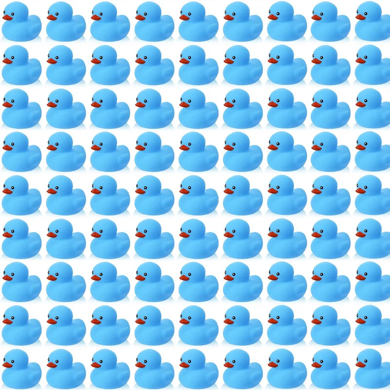 (BULK)YOUVE BEEN DUCKED! RANDOM 60PC