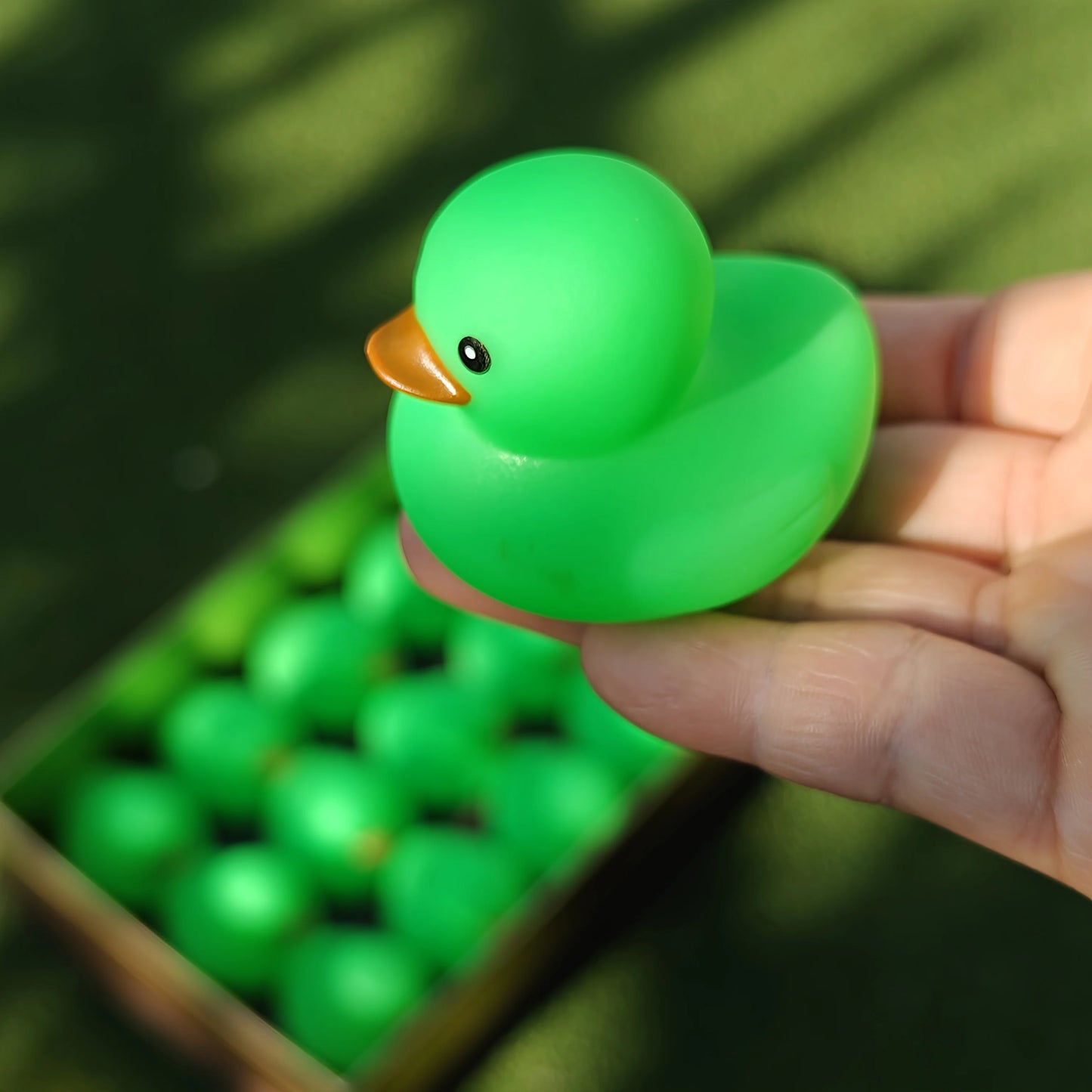 (BULK)YOUVE BEEN DUCKED! RANDOM 60PC