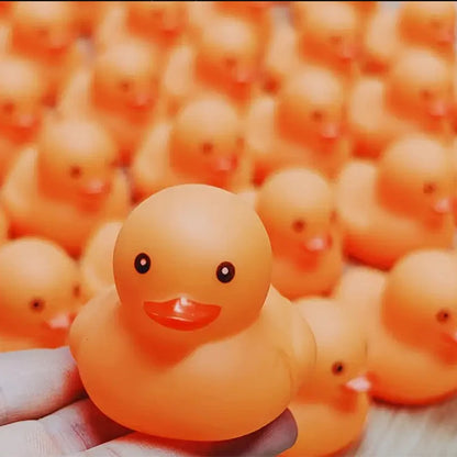 (BULK)YOUVE BEEN DUCKED! RANDOM 60PC